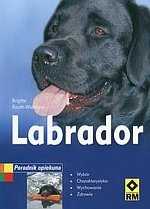 Labrador Poradnik opiekuna