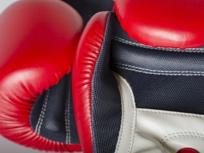 PAFFEN SPORT Rękawice bokserskie FIT