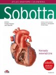 Atlas anatomii człowieka Sobotta angielskie mianownictwo Tom 2