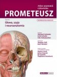 Atlas anatomii człowieka PROMETEUSZ Tom 3 Głowa, szyja i neuroanatomia Mianownictwo angielskie i polskie