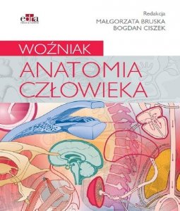 Anatomia człowieka Woźniak