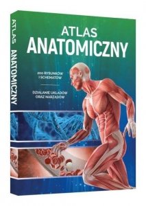 Atlas anatomiczny /SBM