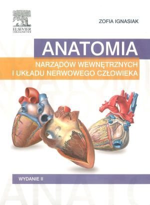 Anatomia narządów wewnętrznych i układu nerwowego człowieka