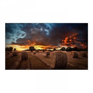 Monitor Samsung 46&quot; VM46B-U (LH46VMBUBGBXEN)