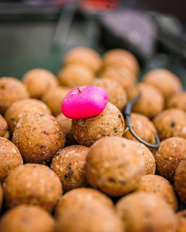 CAC861 Fox Pop up Corn Jumbo x 10 PINK