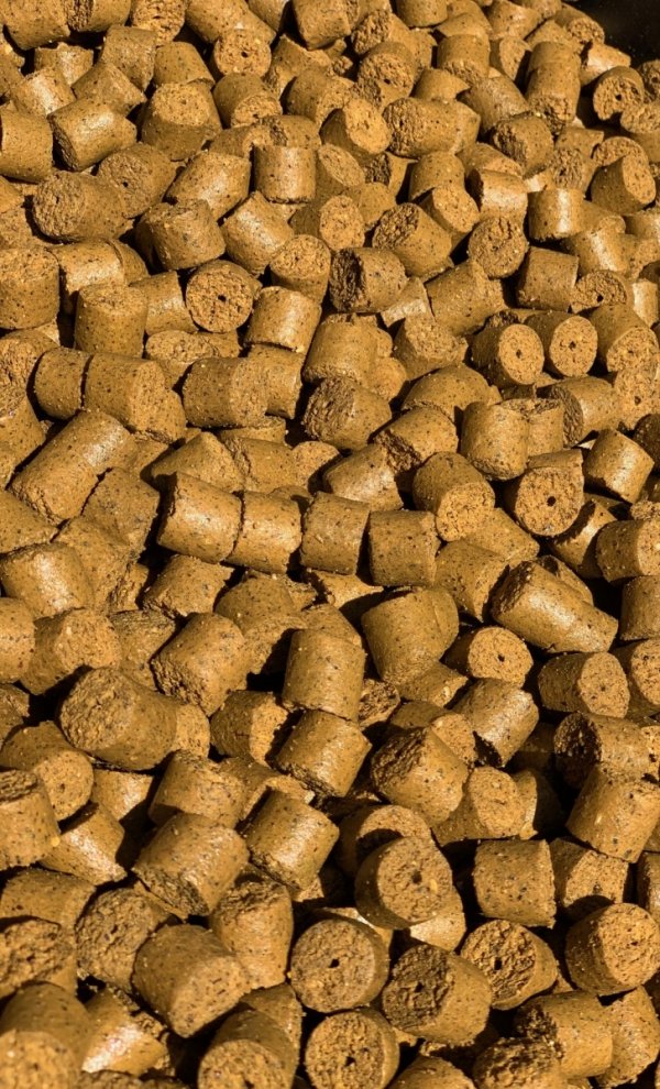 KARP EXPERT Pellet ORZECH TYGRSI 5kg
