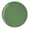 Puder do manicure tytanowy - Cuccio Dip 14G - Grassy Green (5604)