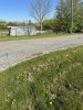 Siatka WildNet - ochrona przed dzikami - 50m x 90cm 