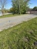 Siatka WildNet - ochrona przed dzikami - 50m x 90cm 