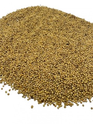 Gorczyca żółta 1kg