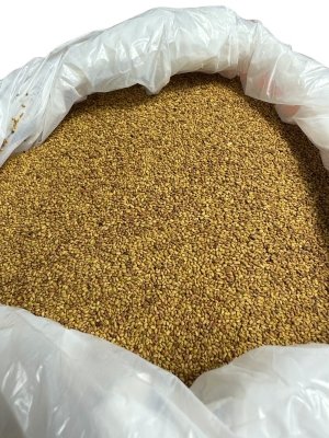 Lucerna ziarno 1kg