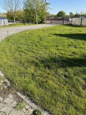 Siatka WildNet - ochrona przed dzikami - 50m x 90cm 