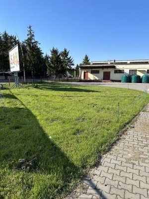 Siatka WildNet - ochrona przed dzikami - 50m x 90cm 