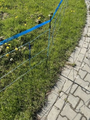 Siatka WildNet - ochrona przed dzikami - 50m x 90cm 