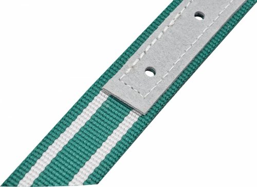 Obroża dla bydła Classic, biały/zielony, 130 x 4 cm