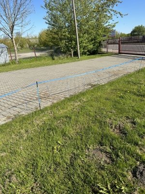 Siatka WildNet - ochrona przed dzikami - 50m x 90cm 