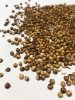 Sorgo czerwone 1kg 
