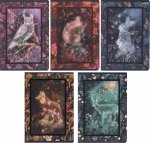 5x Zeszyt A5 32 kartki w linię FAIRYTALE (400182422SET5CZ)