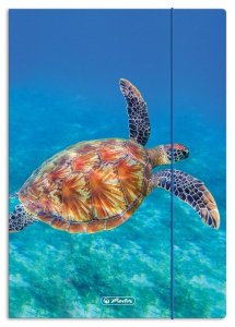 Teczka rysunkowa A4 z gumką ANIMALS Żółw Herlitz (80501)