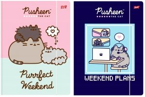 2x Teczka rysunkowa A4 z gumką PUSHEEN Kot Kotek (44597)