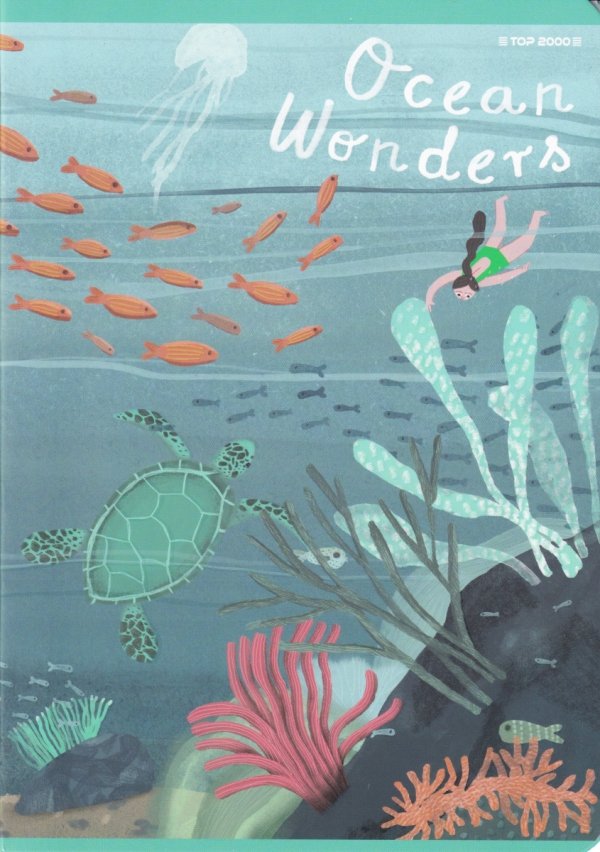 Zeszyt A5 w kolorową linię 16 kartek OCEAN mix (400182342)