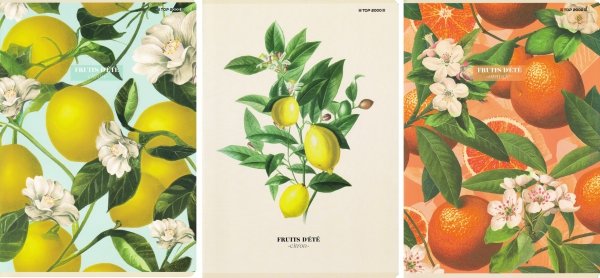 3x Zeszyt A4 60 kartek w kratkę z marginesem SUMMER HARVEST CLUB (400181621SET3CZ)