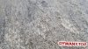 NATURALS-B Chodes jasny szary / light grey