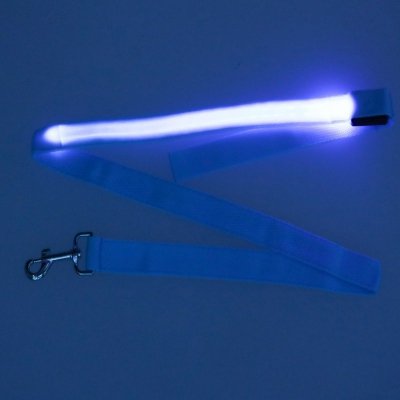 Smycz dla psa kota świecąca spacer jesień zima noc LED 1,2 m niebieska
