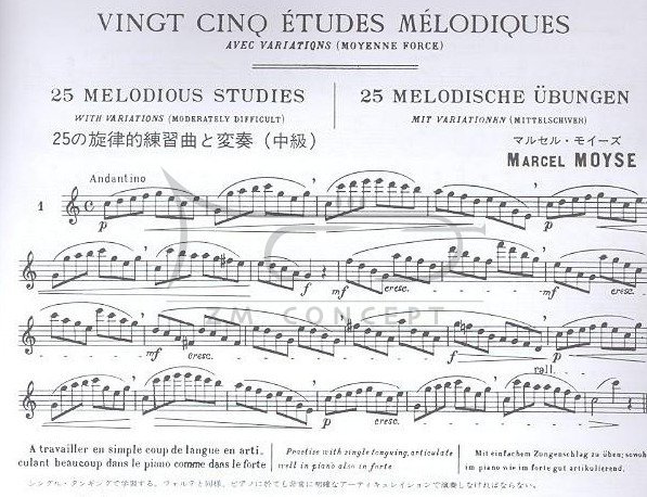Moyse M.: 25 Etudes Melodiques avec var. na flet