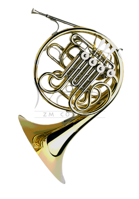 PAXMAN waltornia F/Bb Model 25, full double horn, lakierowana, dual bore nierozkręcana czara medium, z futerałem