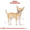 Royal Chihuahua Adult 1,5kg