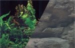 ZOLUX Tło akwariowe 60x120cm rośliny czarne^skał