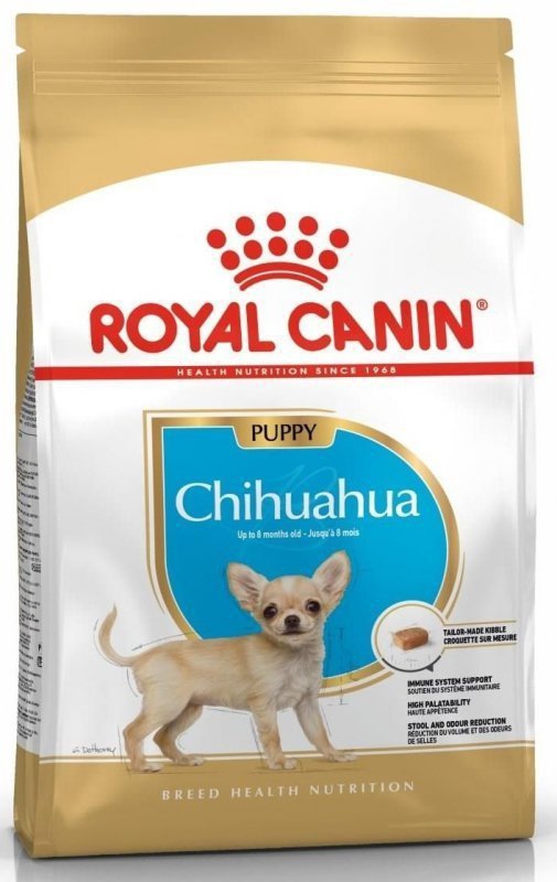 Royal Chihuahua Puppy 1,5kg