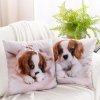 Poszewka Eurofirany Animal, Motor 45x45