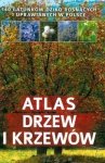 Atlas drzew i krzewów