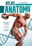 Atlas anatomii. Wydanie 2023