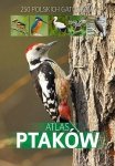 Atlas ptaków. 250 polskich gatunków
