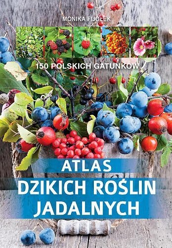Atlas dzikich roślin jadalnych, Monika Fijołek, SBM