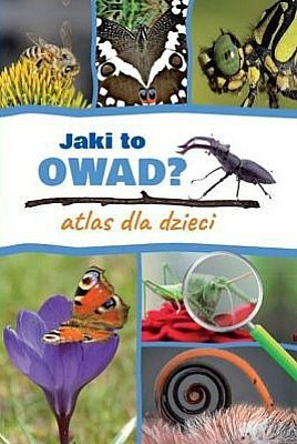 Jaki to owad? Atlas dla dzieci