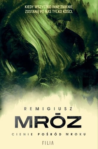 Cienie pośród mroku. Seweryn Zaorski, tom 6, Remigiusz Mróz