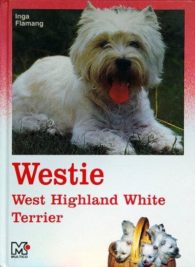 Westie: West-Highland White Terrier