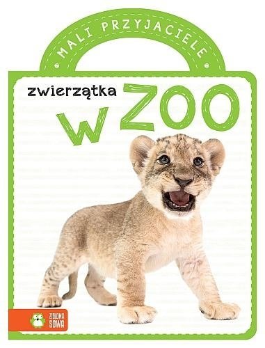 Zwierzątka w Zoo. Mali przyjaciele