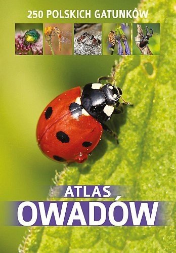 Atlas owadów, Kamila Twardowska, Jacek Twardowski 