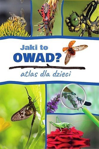 Atlas dla dzieci. Jaki to owad?, Jacek Twardowski, Kamila Twardowska 