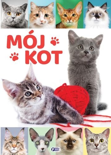 Mój kot. Fenix
