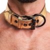 OBROŻA BONDAGE FETISH METALLIC PUP COLLAR WITH LEASH