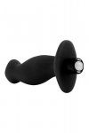 BLUSH ANAL ADVENTURES PLATINUM PROSTATE MASSAGER 02