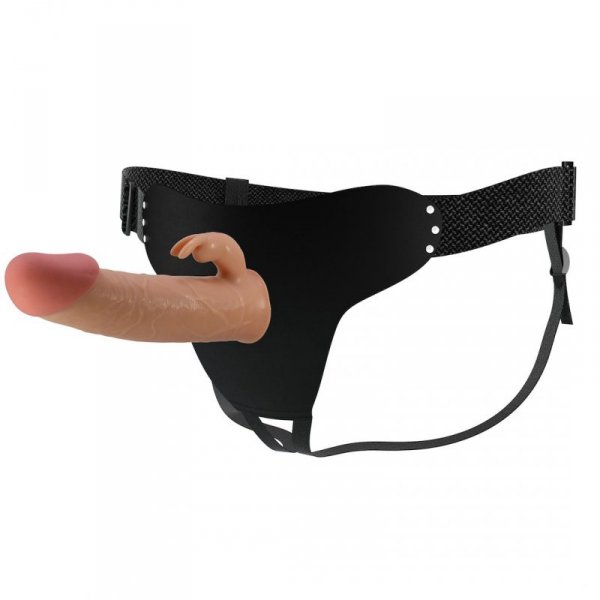 HARNESS BRIEFS