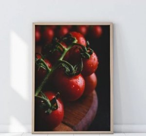 Plakat KULINARNY Pomidory P505
