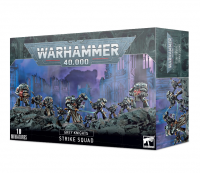 Grey Knights - Strike Squad 